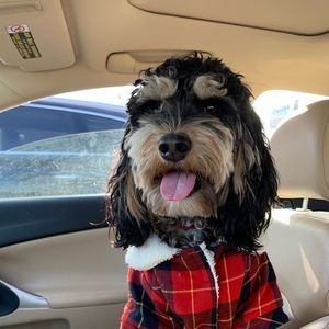 Meet your Posher, Savannah